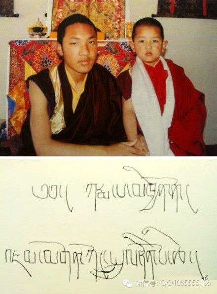 �󱦷��������ת�����£���ͼ+��Ƶ������հ��