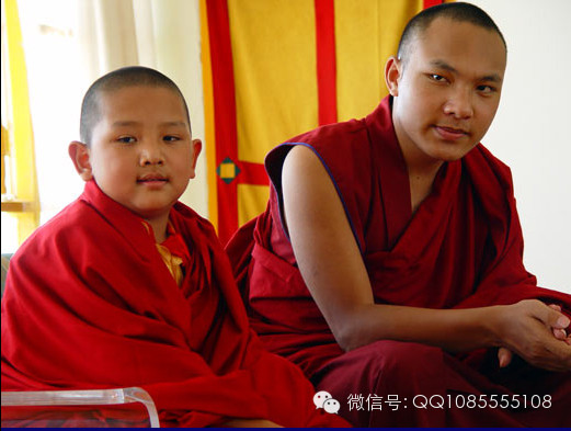 �󱦷��������ת�����£���ͼ+��Ƶ������հ��