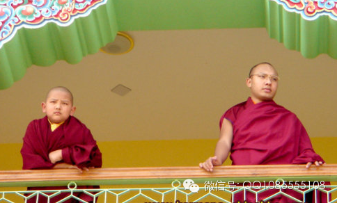 �󱦷��������ת�����£���ͼ+��Ƶ������հ��