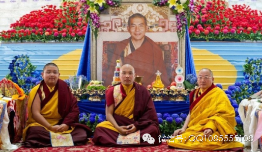 �󱦷��������ת�����£���ͼ+��Ƶ������հ��