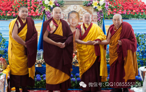 �󱦷��������ת�����£���ͼ+��Ƶ������հ��