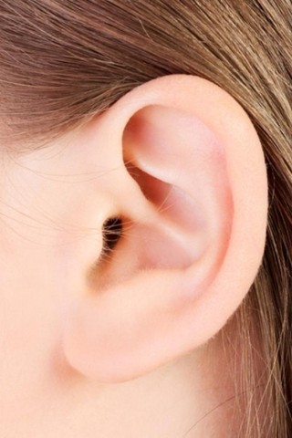 相信吗?原来从耳朵可以看出你活多久!(图) 相信吗?原来从耳朵可以看出你活多久!(图)