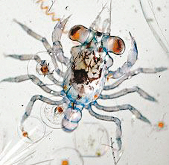 ���Ŵ�25����һ��ˮ��̫������(��ͼ+��Ƶ)