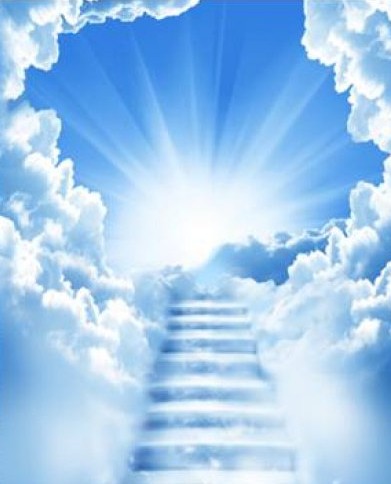 美国医生的研究证实轮回(图) 美国医生的研究证实轮回(图)