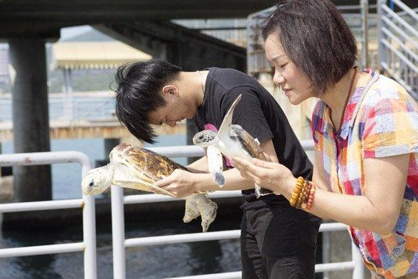 ���Ƿ������������5��Ԫ_������ָץ����������������������������ķ�����