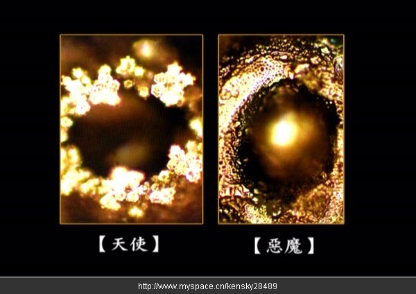 深切悼念水博士江本胜! 深切悼念水博士江本胜!