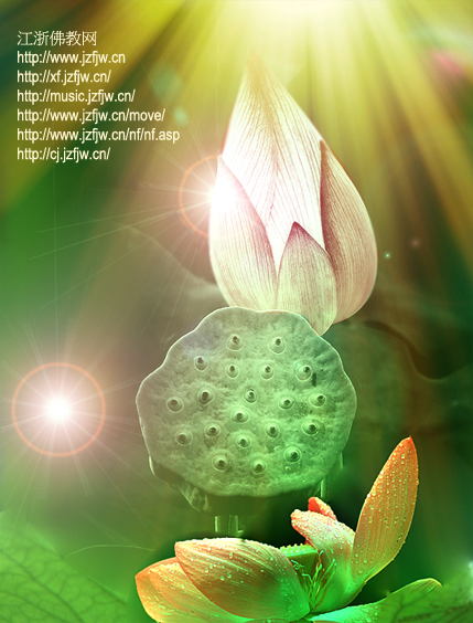 5���¾�ز�۵�Ů������ǰ��ɱ����Ͷ̥����