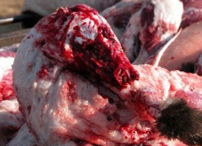 ���Ƥ�۲��ۣ�