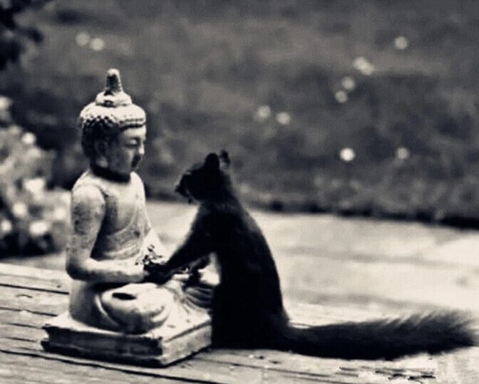 �������з��ԣ�������Щ�ɰ����ϵĶ����ǣ���ͼ��