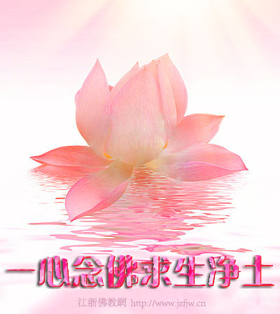 定弘法师:念佛时要让精神、体力调整到最佳 定弘法师:念佛时要让精神、体力调整到最佳