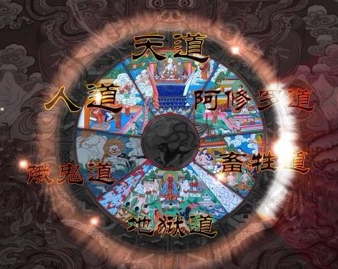 如何判断自己是从哪投胎转世的? 如何判断自己是从哪投胎转世的?