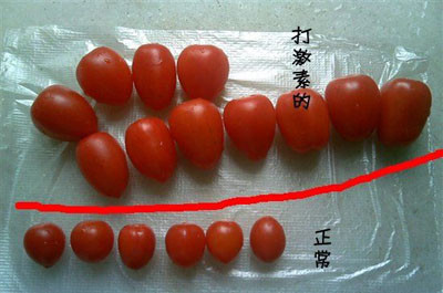 激素到底是什么?无知是最大的伤害!必看! 激素到底是什么?无知是最大的伤害!必看!