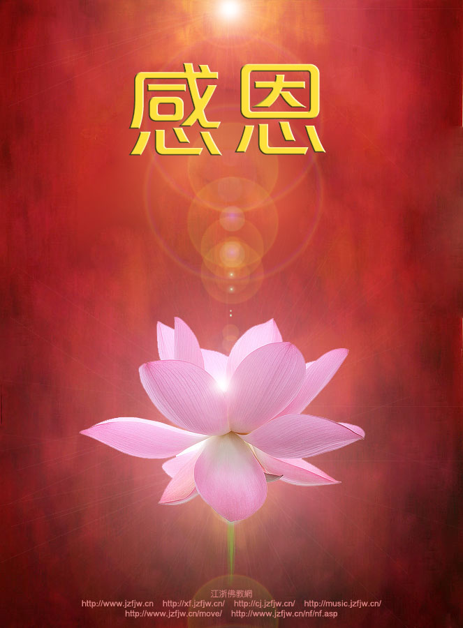 人的福报都是有定数的 人的福报都是有定数的