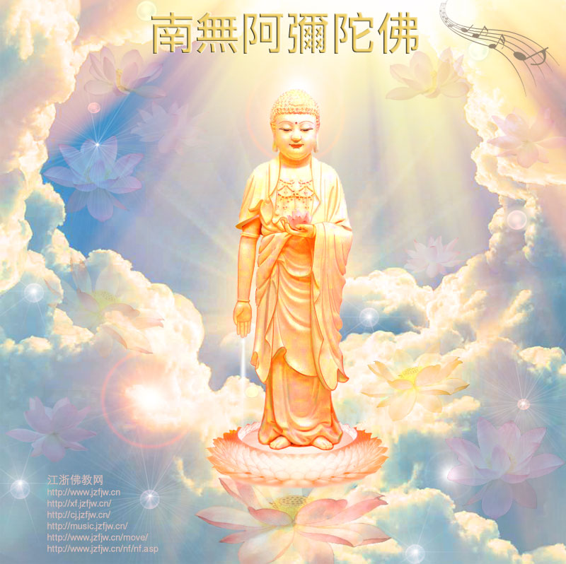 Ͷ̥ת��ʱ���������ţͶ̥Ϊ�ˡ����˸���