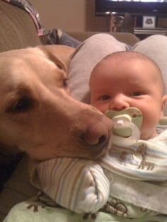 众生皆有灵性---狗是人类的好朋友(图组) 众生皆有灵性---狗是人类的好朋友(图组)