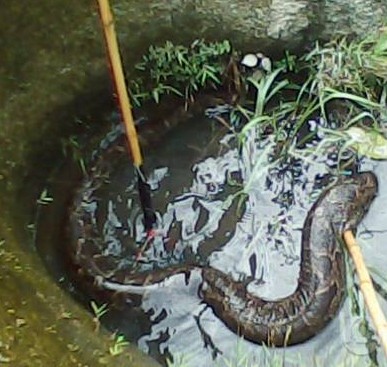 ��ɱ�����߲���_������������14��_!