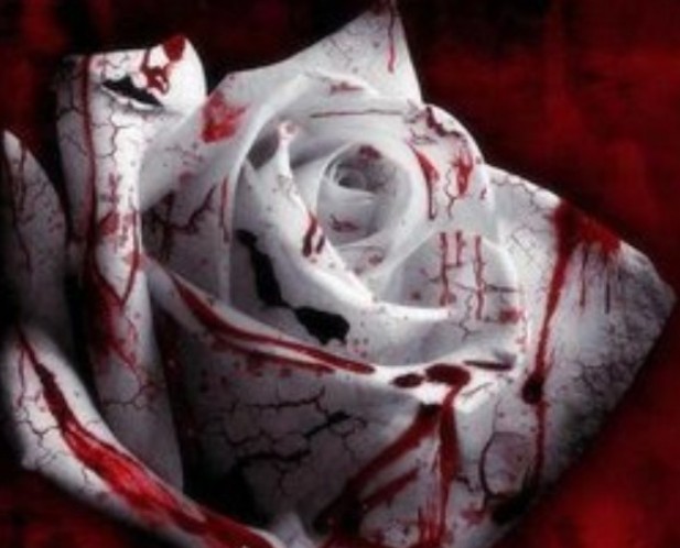 ������Ů��΢��ҡ������ħ��_����֫��--�������