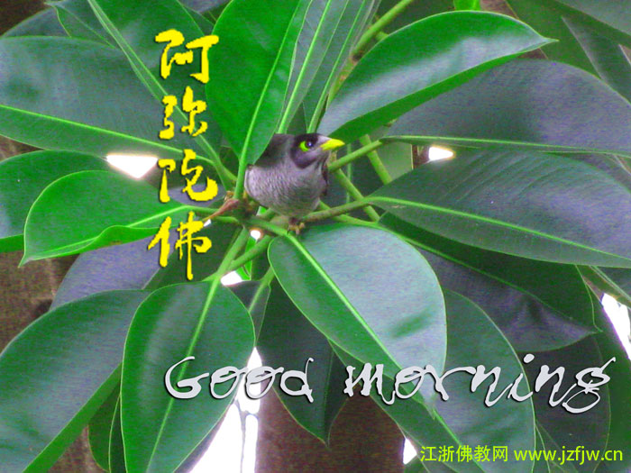 ���ţ��Ϲ����ǽ��õģ������һ�ж��ǽ������õģ��Ų���