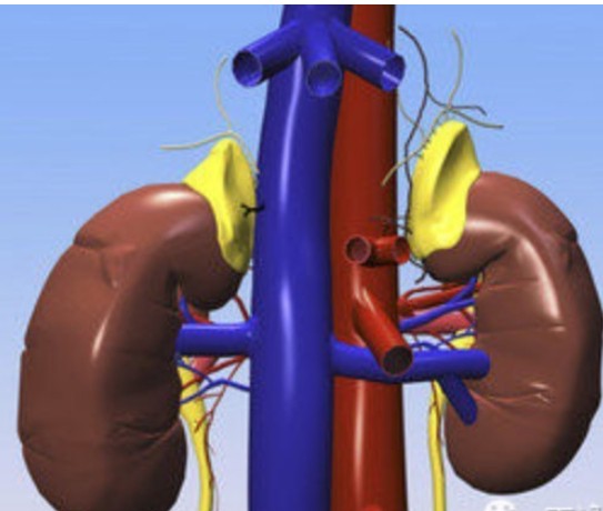 Ϊʲô�ִ��˶����飿�����������������飬���������飿�����������飡