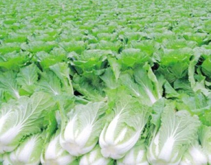 ��ײ�̫�����ˣ�������벻��...