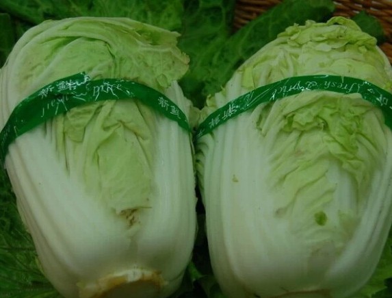 ��ײ�̫�����ˣ�������벻��...