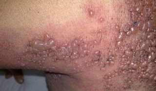 KTVС�����صľ������ܣ��������ˣ���ͼ_����