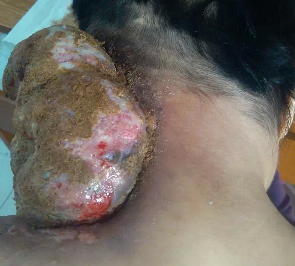 ���𾪡�Ů�Ӿ��ϳ��ֲ�����_��̥�������ߵģ���ͼ��