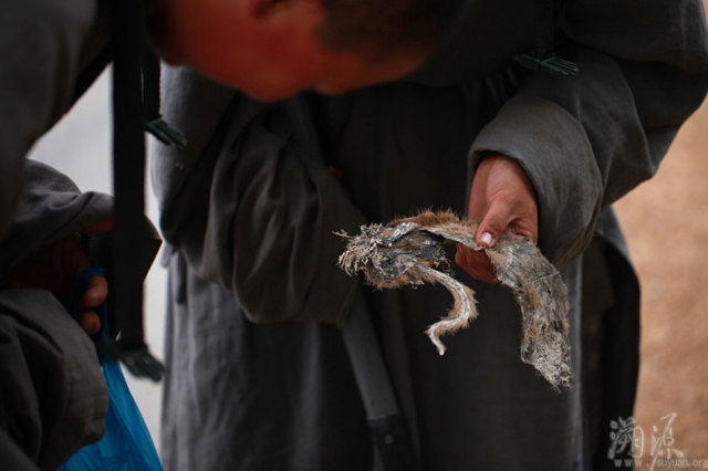 辽宁道源寺女苦行僧的行脚生活 辽宁道源寺女苦行僧的行脚生活