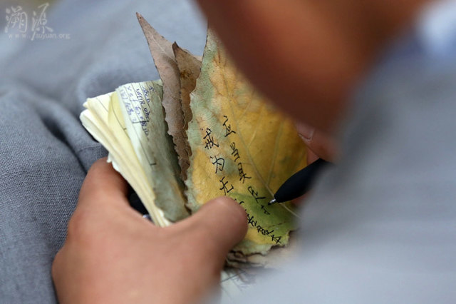 辽宁道源寺女苦行僧的行脚生活 辽宁道源寺女苦行僧的行脚生活