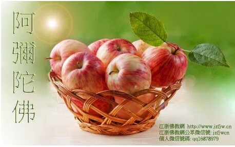 ÿ���һƻ����7����Ҫԭ��