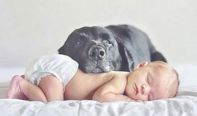 ������������ʵ�����ѣ���ת��ɱ���Թ��������