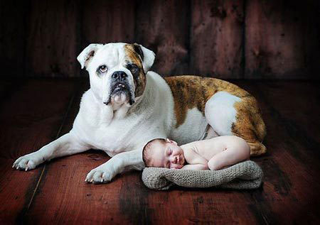 ������������ʵ�����ѣ���ת��ɱ���Թ��������