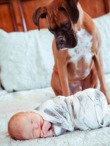 ������������ʵ�����ѣ���ת��ɱ���Թ��������