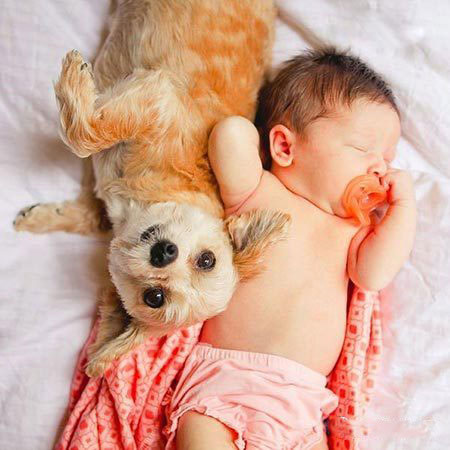 ������������ʵ�����ѣ���ת��ɱ���Թ��������