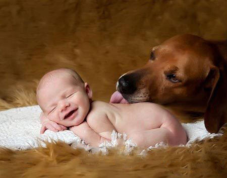 ������������ʵ�����ѣ���ת��ɱ���Թ��������