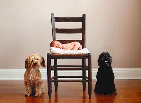 ������������ʵ�����ѣ���ת��ɱ���Թ��������