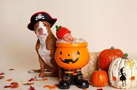 ������������ʵ�����ѣ���ת��ɱ���Թ��������