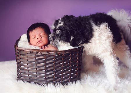 ������������ʵ�����ѣ���ת��ɱ���Թ��������