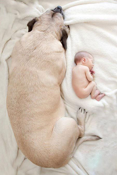 ������������ʵ�����ѣ���ת��ɱ���Թ��������