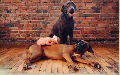 ������������ʵ�����ѣ���ת��ɱ���Թ��������