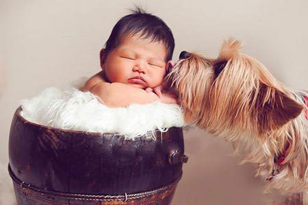 ������������ʵ�����ѣ���ת��ɱ���Թ��������