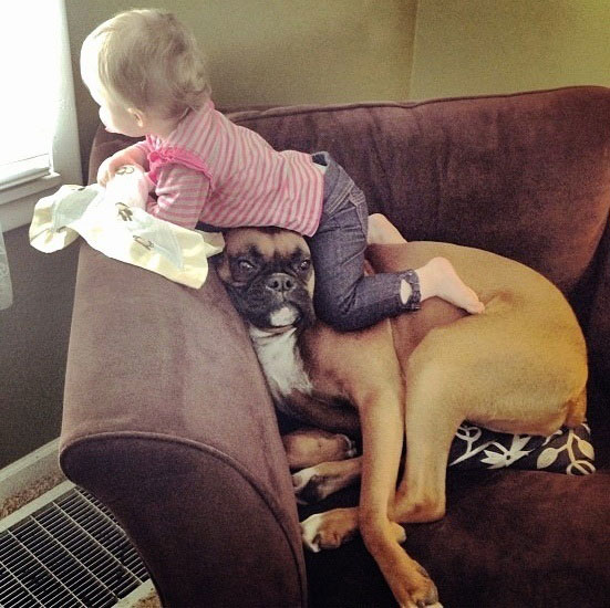 ������������ʵ�����ѣ���ת��ɱ���Թ��������