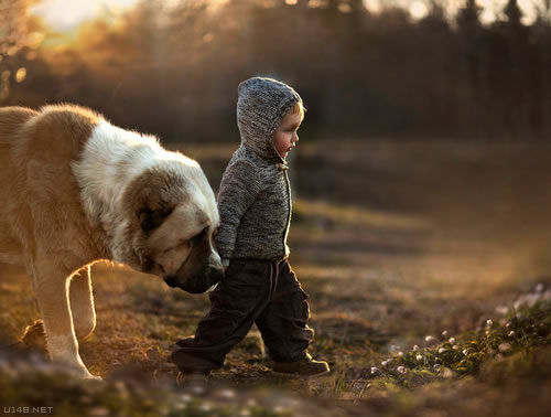 ������������ʵ�����ѣ���ת��ɱ���Թ��������