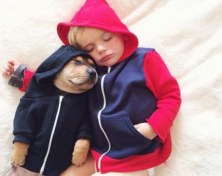 ������������ʵ�����ѣ���ת��ɱ���Թ��������