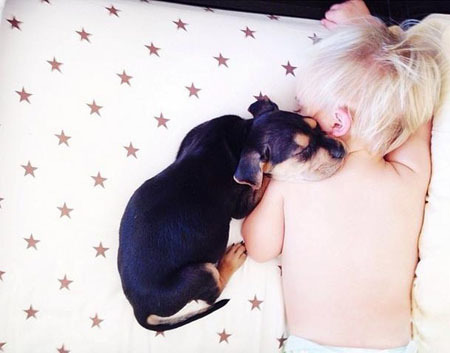 ������������ʵ�����ѣ���ת��ɱ���Թ��������