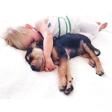 ������������ʵ�����ѣ���ת��ɱ���Թ��������