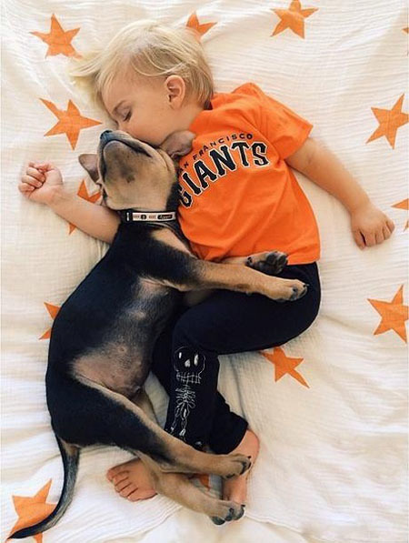 ������������ʵ�����ѣ���ת��ɱ���Թ��������