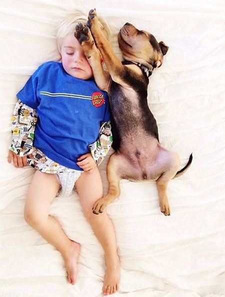 ������������ʵ�����ѣ���ת��ɱ���Թ��������