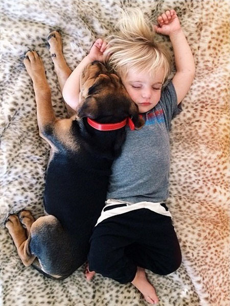 ������������ʵ�����ѣ���ת��ɱ���Թ��������