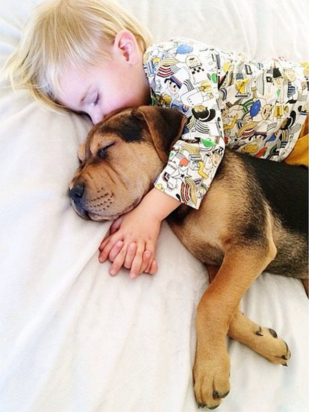 ������������ʵ�����ѣ���ת��ɱ���Թ��������